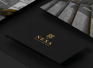 Nexa - Consultoría Especializada
