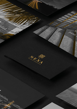 Nexa - Consultoría Especializada