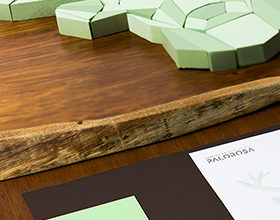Palorosa - Branding